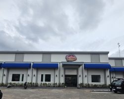 WhatsApp Image 2024-12-03 at 09.39.49